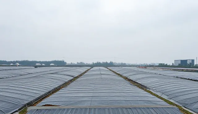 建筑维修服务常见问题检查要点解析